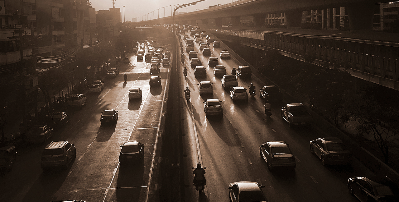 Surviving the Corporate Jungle